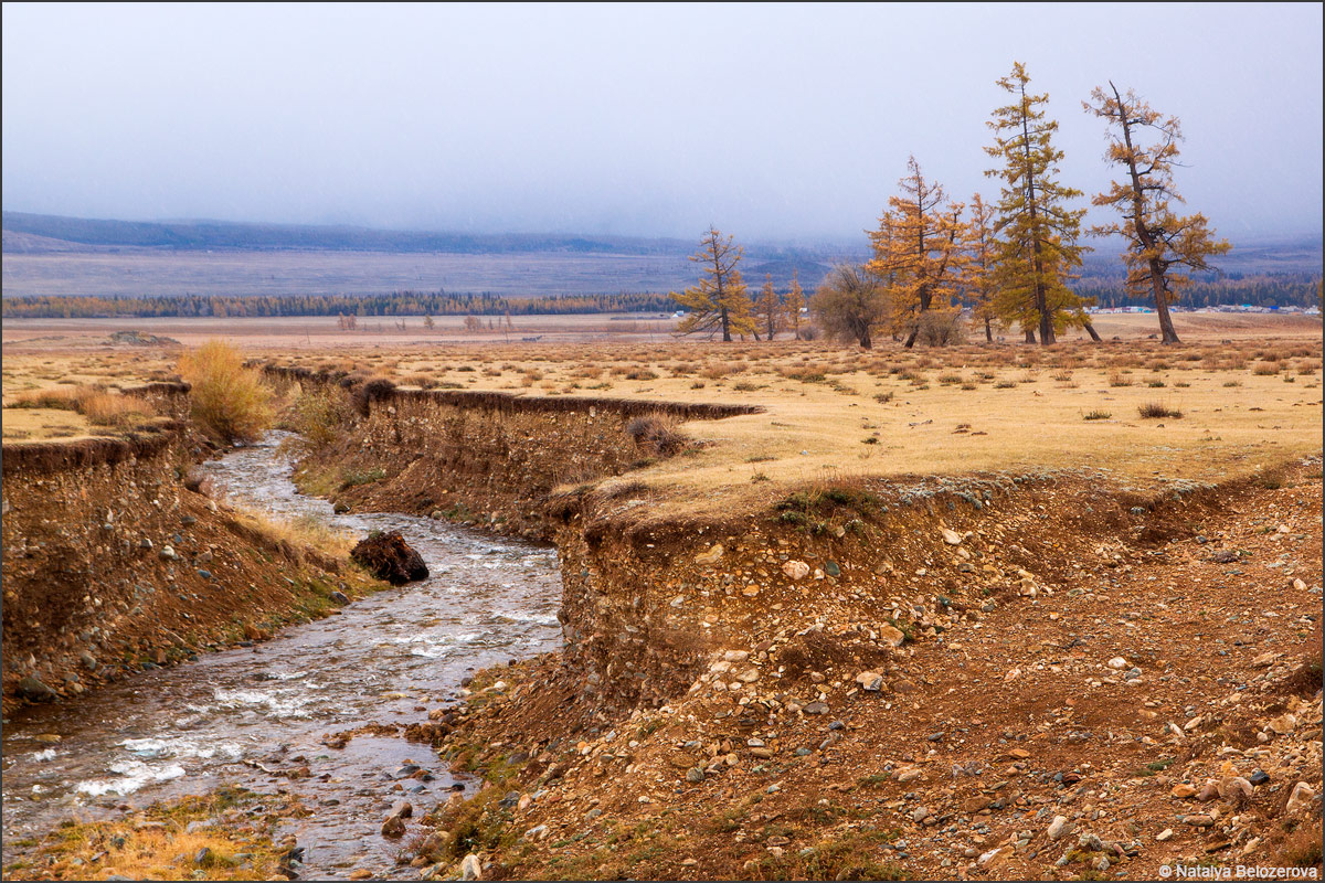 Снегопад в Курайской степи
